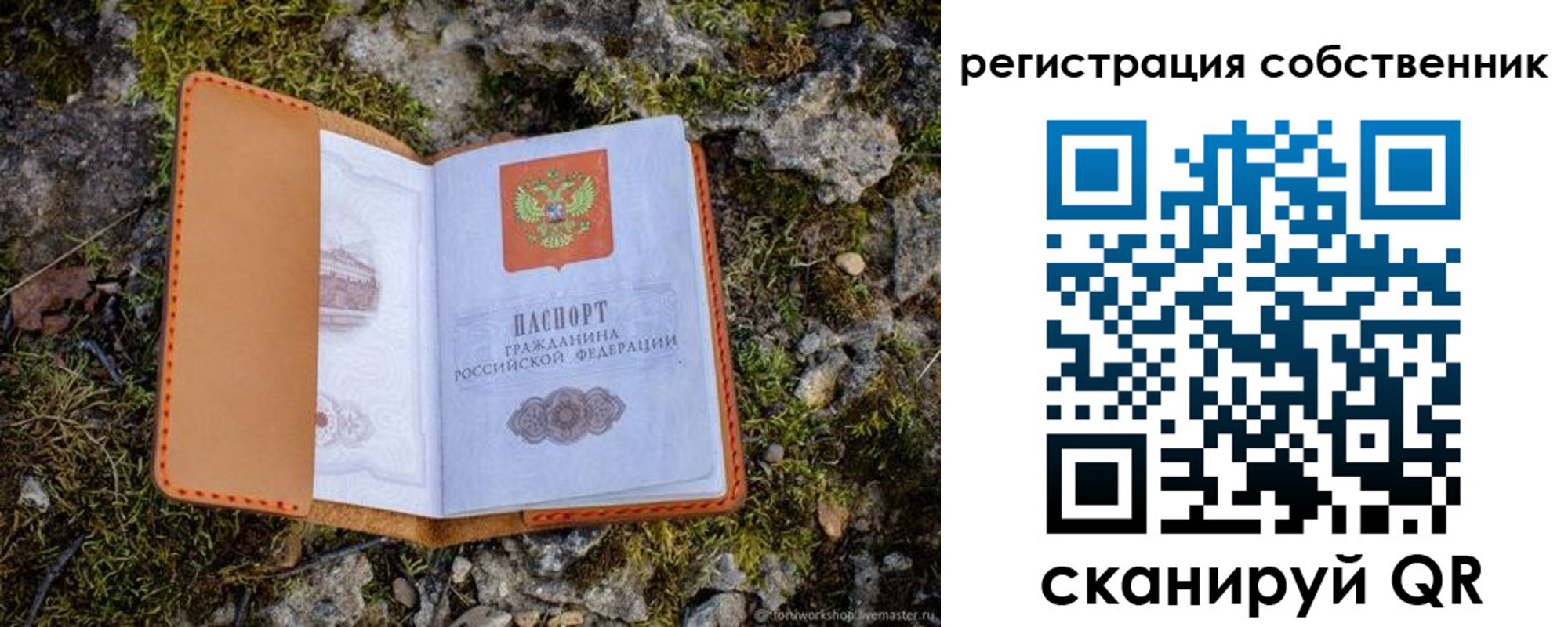 прописка поиск в Донском